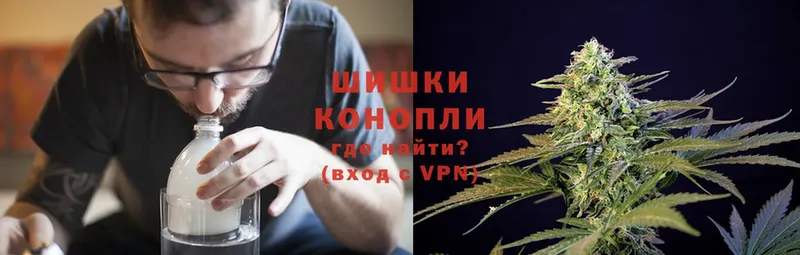 Бошки Шишки SATIVA & INDICA  магазин  наркотиков  Валдай 